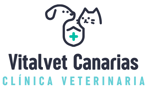 Vitalvet, mascotas y veterinaria en Candelaria
